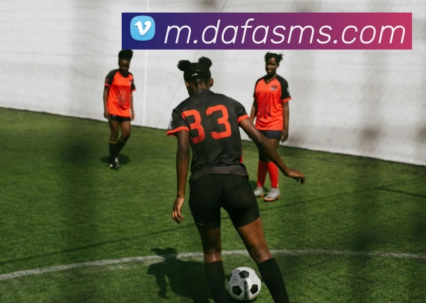 大发官网APP 封面图